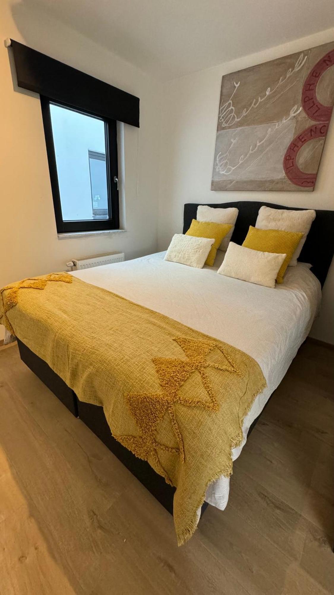 Appartement Viki'S Penthousje à Blankenberge Extérieur photo